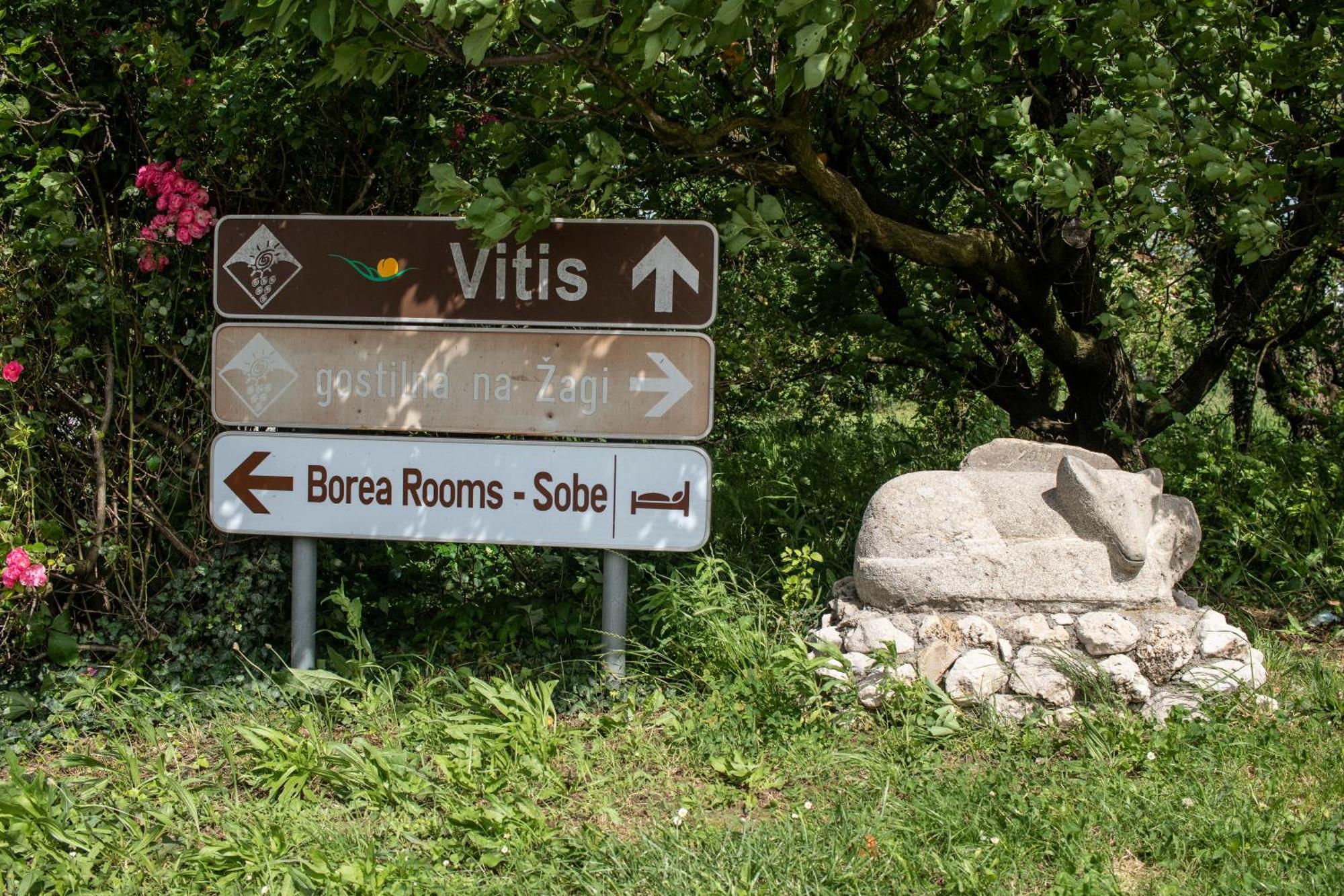 Borea Rooms - Sobe Budanje Vipava Eksteriør bilde